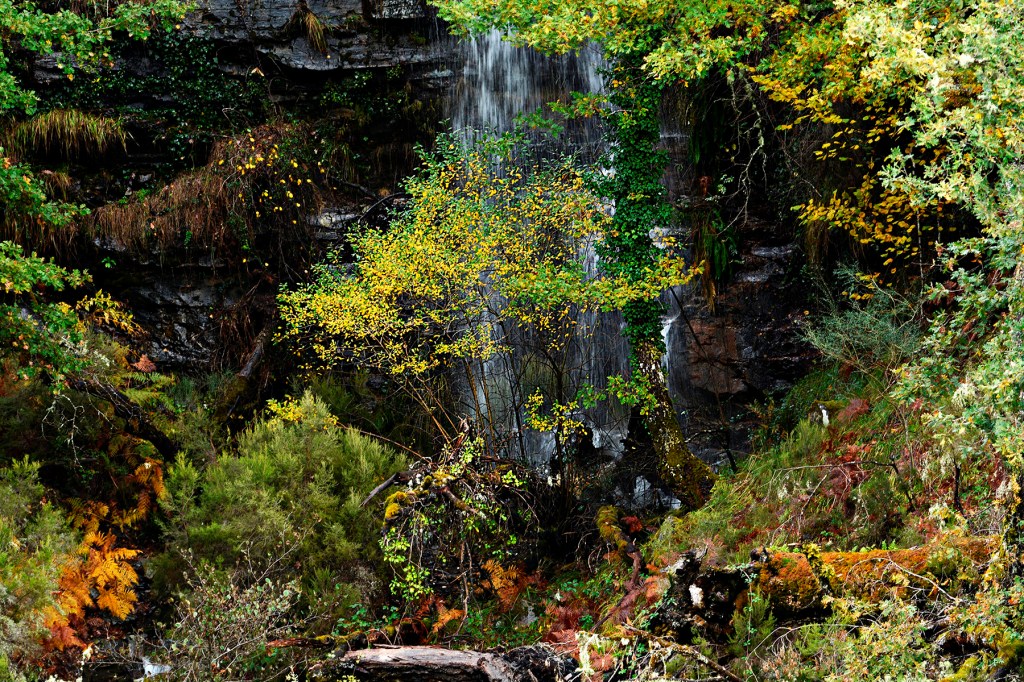 Entre Aira da Pedra y Veguellina, Villafranca del Bierzo, El Bierzo, León, Castilla y León, España.