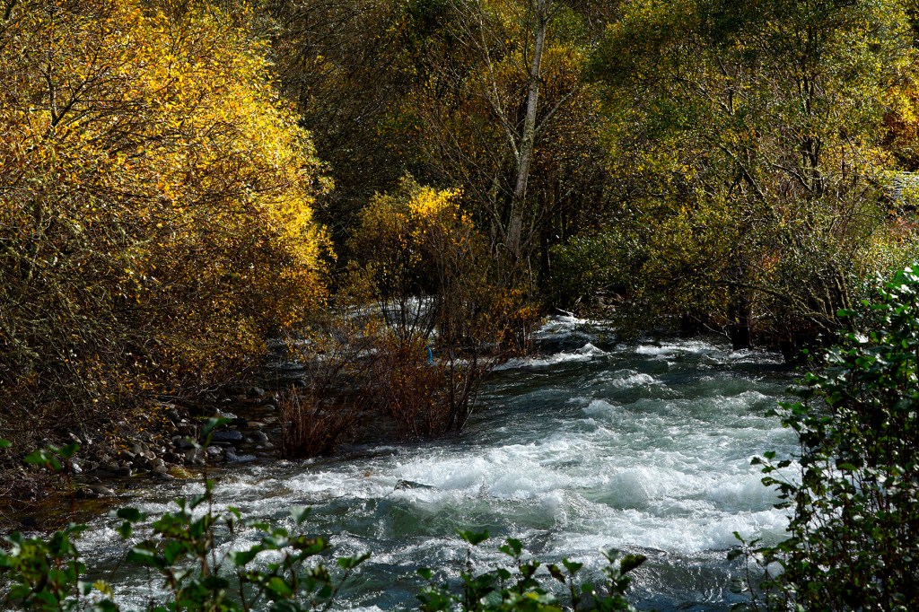 Tramo del río Burbia cercano a Aira da Pedra, Villafranca del Bierzo, El Bierzo, León, Castilla y León, España.