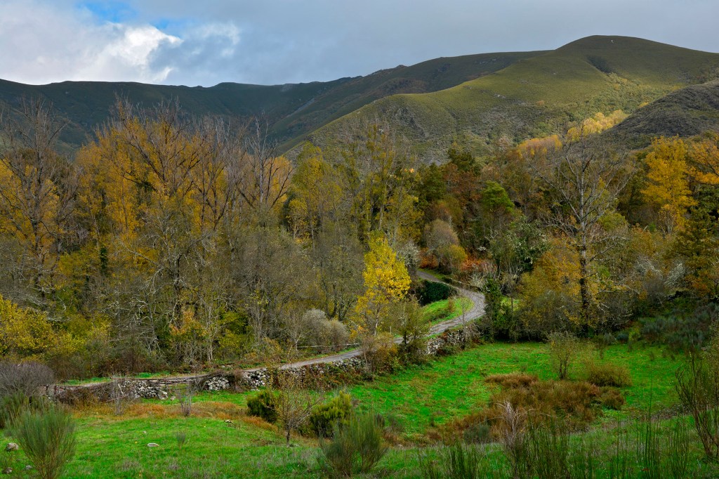 Puente cubierto de hiedra cercano a Burbia, Vega de Espinareda, El Bierzo, León, Castilla y León, España.