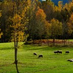 SERIE : BAJO OTRA MIRADA (II) – Otoño (11)