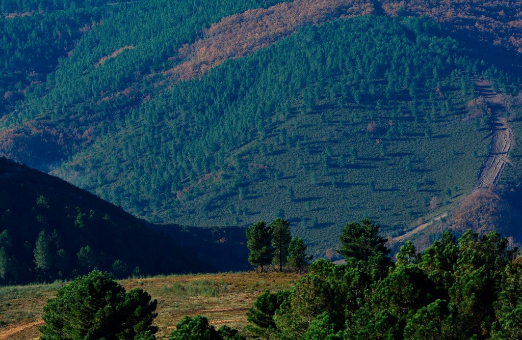 Inmediaciones de Pobladura de Somoza en una toma del inicio de Los Ancares en la cuenca del Burbia, Villafranca del Bierzo, El Bierzo, León, Castilla y León, España.