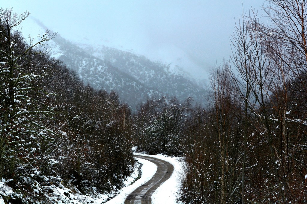 Carretera hacia Navia de Suarna, a pocos kilómetros de Balota, Valle de Ancares (Candín), El Bierzo, León, Castilla y León, España.