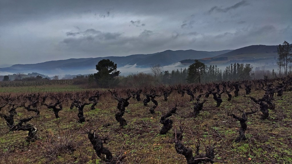 Por tierras de Cacabelos, El Bierzo, León, Castilla y León, España.