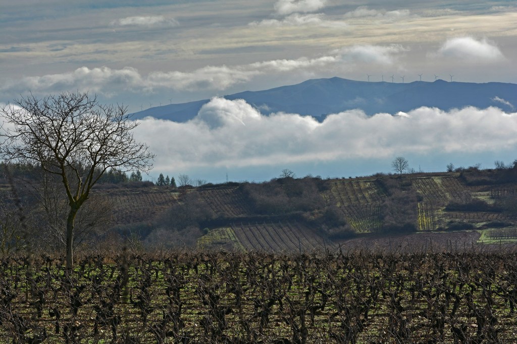 Cercanías de Carradedo del Monasterio, Carracedelo, El Bierzo, León, Castilla y León, España.