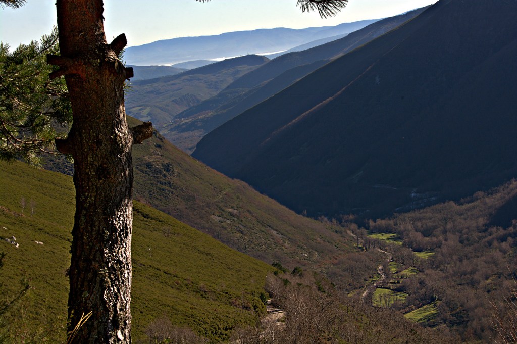 El Valle de Ancares regado por el río de su mismo nombre con Tejedo de Ancares y la localidad más cercana - Valle de Ancares (Candín), Ancares, El Bierzo, León, Castilla y León, España.