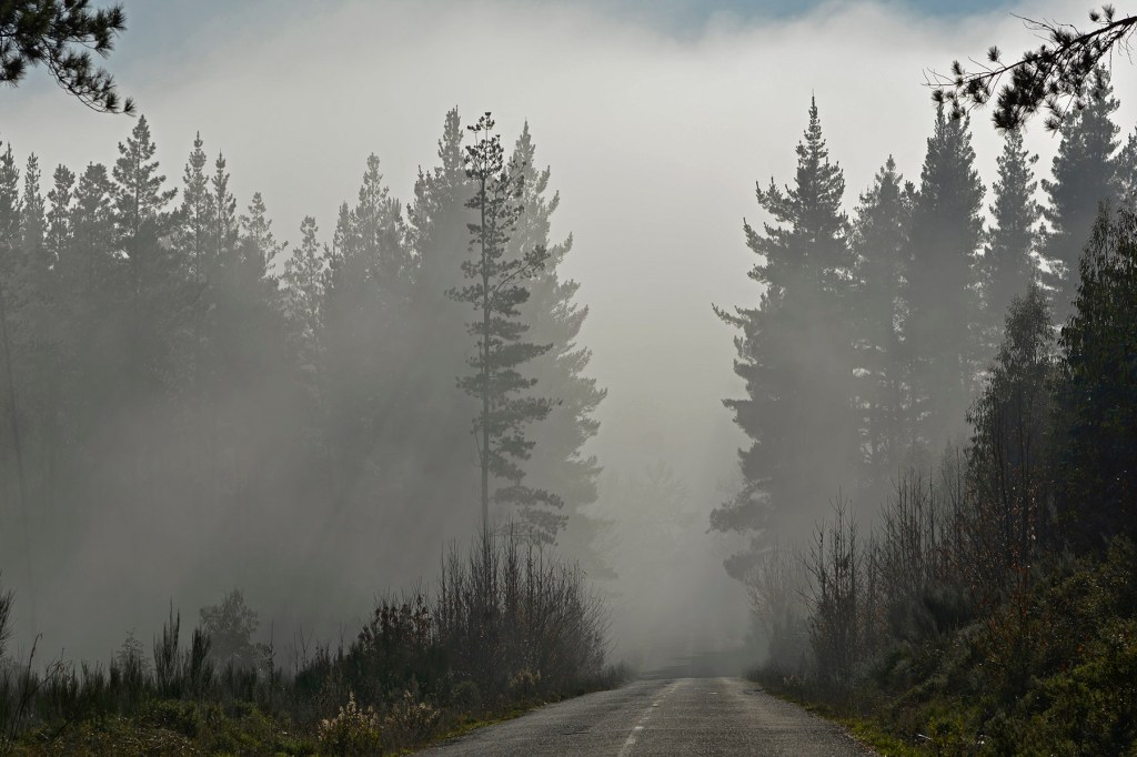 Niebla en las inmediaciones de San Juan de la Mata, Arganza, El Bierzo, León, Castilla y León, España.