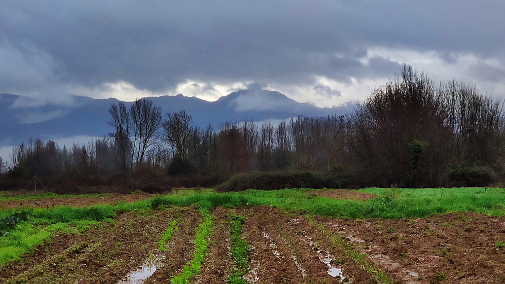 Inmediaciones de San Juan de Carracedo, Carracedelo, El Bierzo, León, Castilla y León, España.