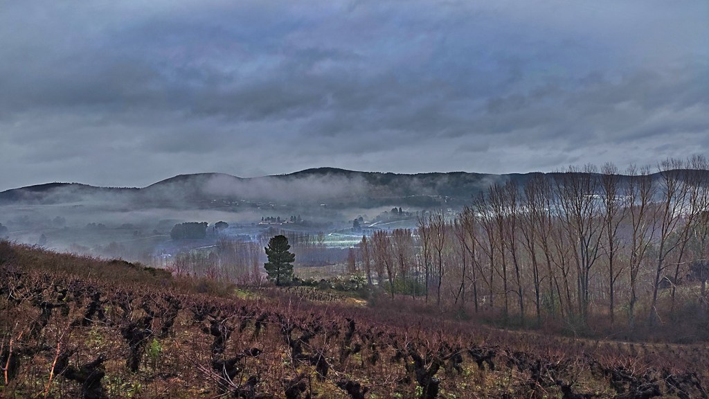 Valle del Cúa desde las inmediaciones de Arganza, El Bierzo, León, Castilla y León, España.