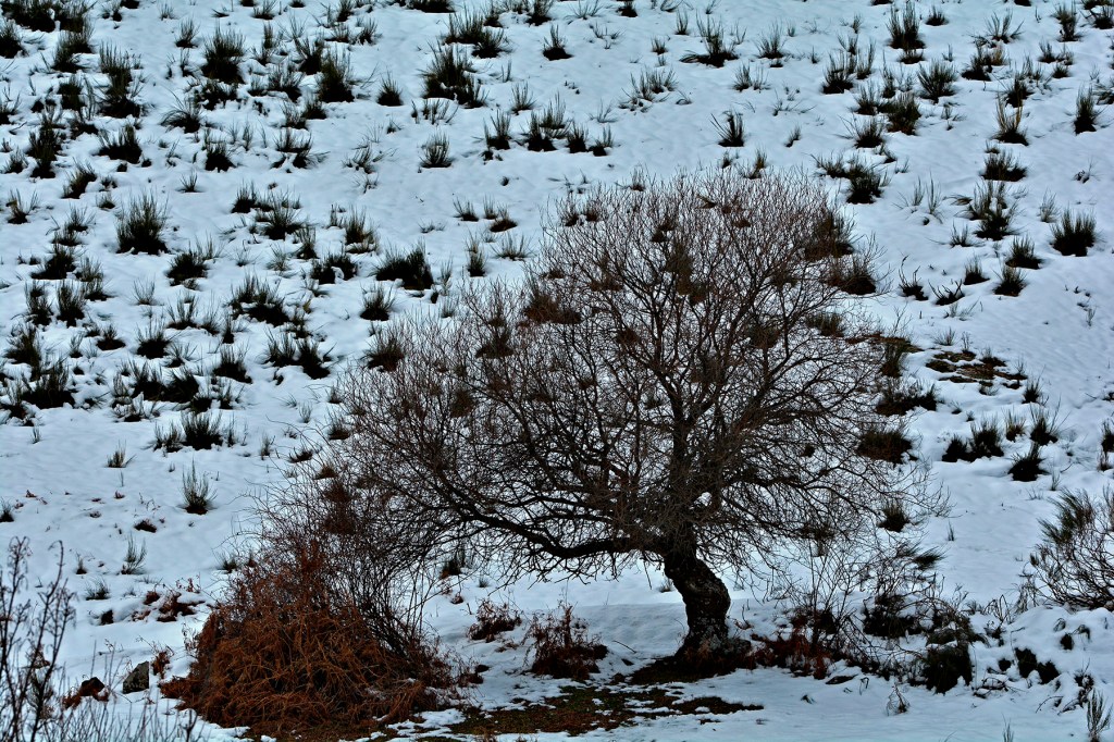 Campo del Agua, Villafranca del Bierzo, El Bierzo, León, Castilla y León, España.