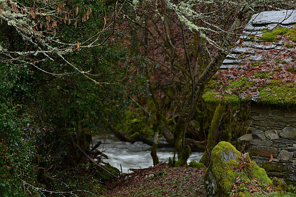 Casa de labor junto al río Ancares en las proximidades de Tejedo de Ancares, Valle de Ancares (Candín), Ancares, El Bierzo, León, Castilla y León, España.