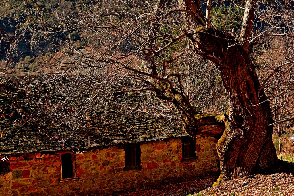 En el poblado de Burbia, Vega de Espinareda, El Bierzo, León, Castilla y León, España.