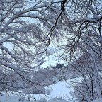 SERIE : BAJO OTRA MIRADA (II) – Invierno (10)