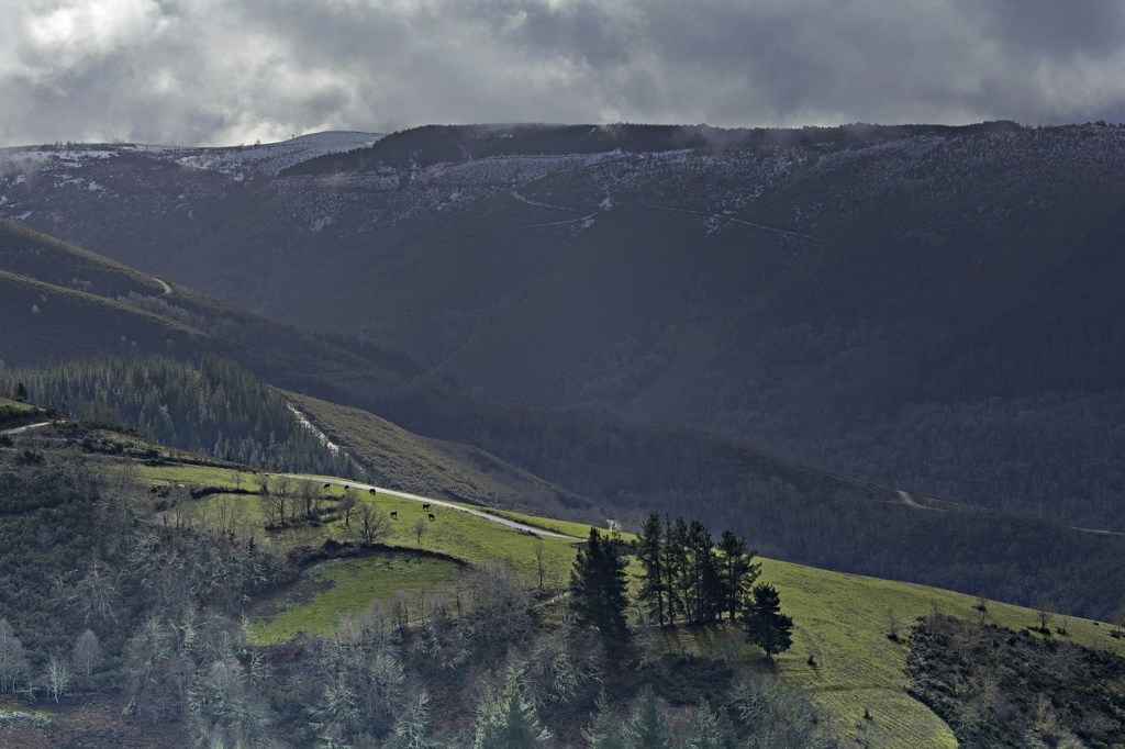 Prados de los ancares lucenses en una vista en la carretera Balouta - Navia de Suarna, Lugo, Galicia, España.