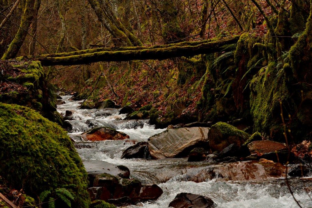 Río Oza a su paso por las cercanías de San Clemente de Valdueza, Ponferrada, El Bierzo, León, Castilla y León, España.
