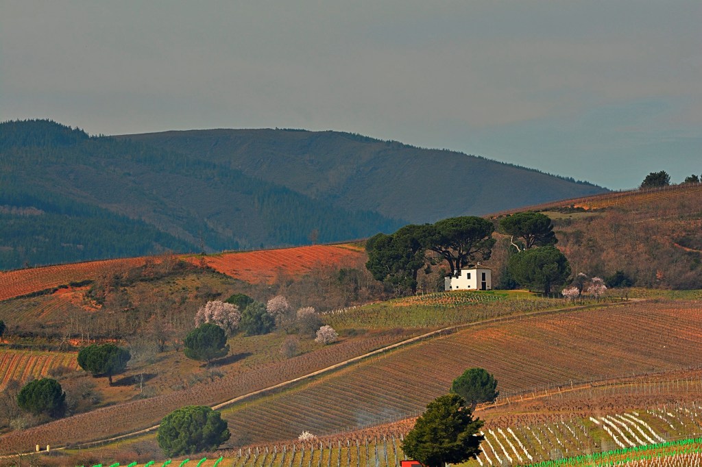 Vista desde Valtuille de Abajo, Villafranca del Bierzo, El Bierzo, León, Castilla y León, España.