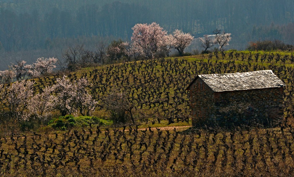 En Cacabelos, El Bierzo, León, Castilla y León, España.
