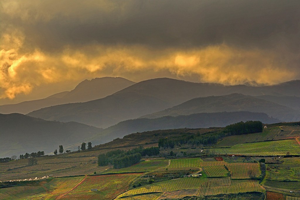 Área sur de la meseta de Castro Ventosa en una vista desde la parte elevada de Cacabelos en el Campo de San Bartolo, El Bierzo, León, Castilla y León, España.