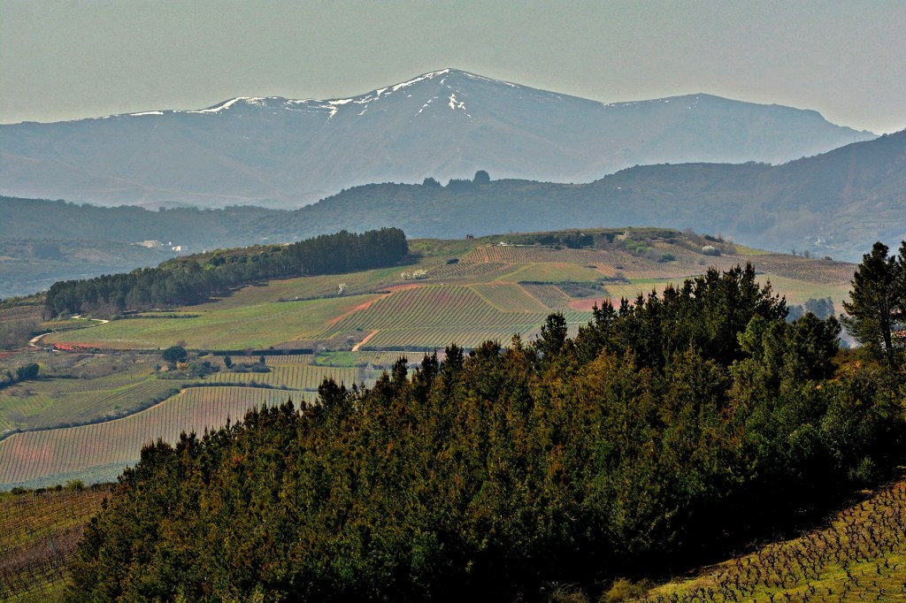 Cacabelos con Castro Ventosa al fondo, El Bierzo, León, Castilla y León, España.