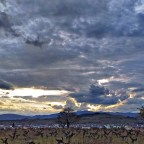 SERIE : BAJO OTRA MIRADA (II) – Primavera (2)