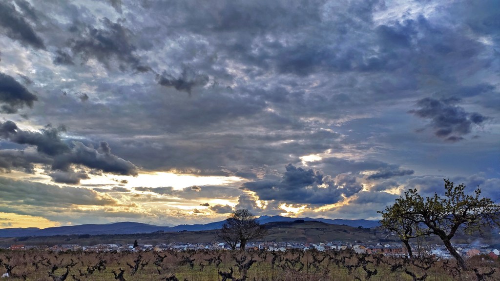 Cacabelos y Castro Ventosa, El Bierzo, León, Castilla y León, España.