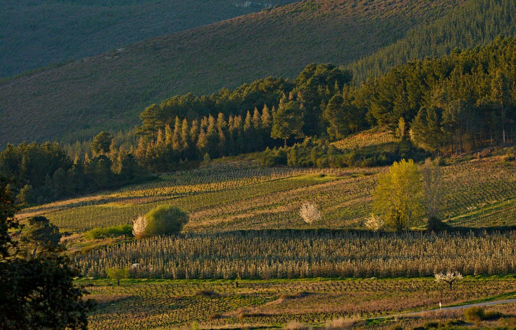 Paisaje del entorno de Arganza y Quilós, El Bierzo, León, Castilla y León, España.