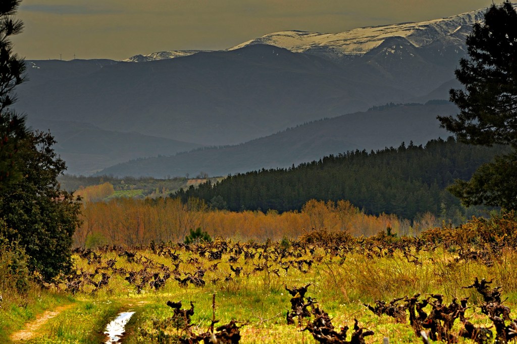 Inmediaciones de Magaz de Arriba, Arganza, El Bierzo, León, Castilla y León, España.