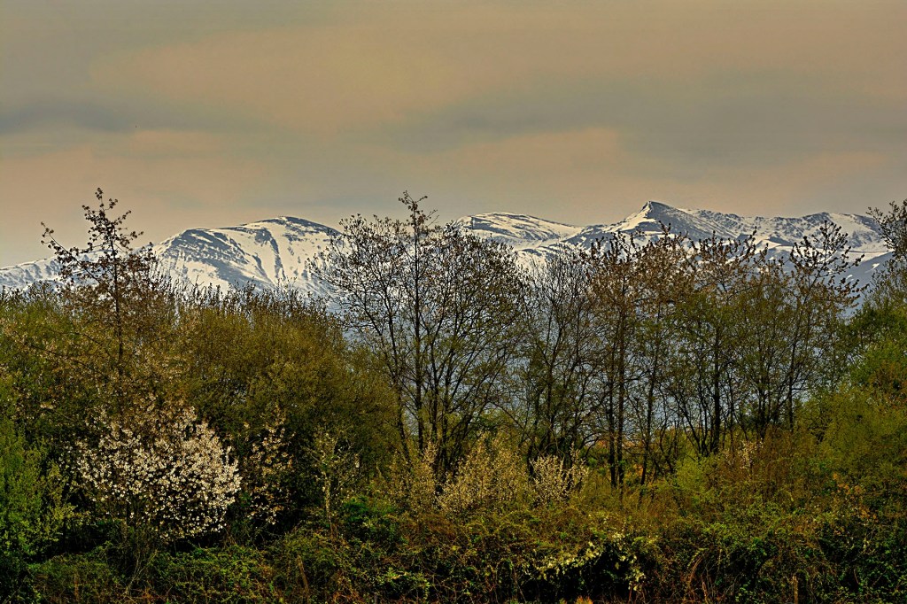 Vista de los montes Aquilianos desde las inmediaciones de Cueto, Sancedo, El Bierzo, León, Castilla y León, España.