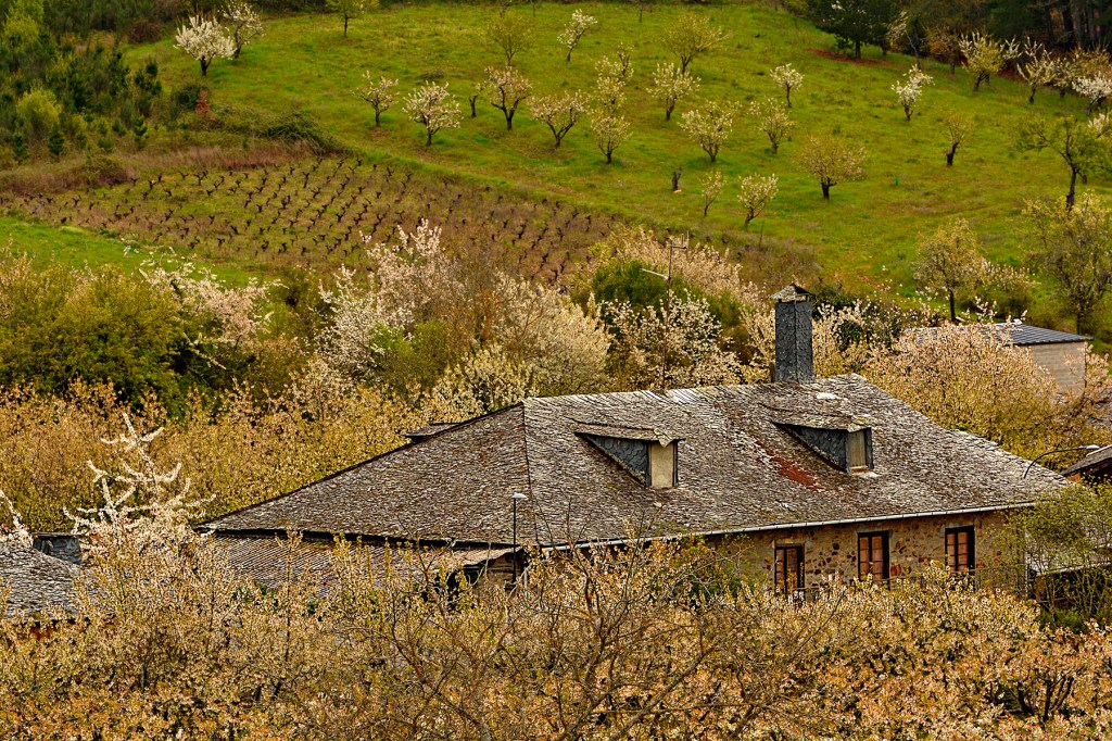 Rincón de Arganza, El Bierzo, León, Castilla y León, España.