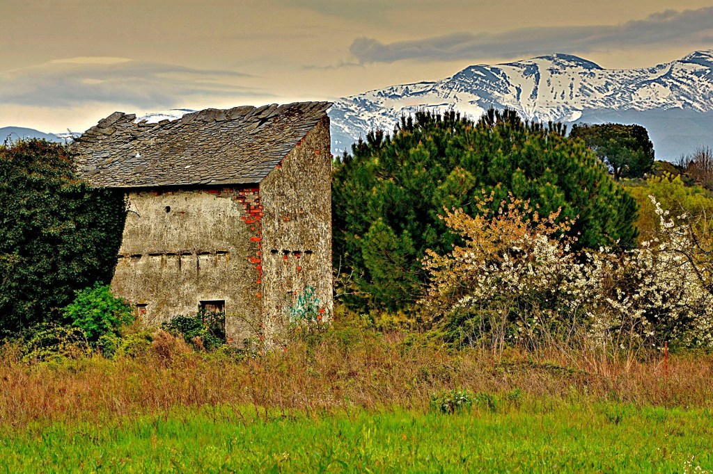 Palomar de Cacabelos, El Bierzo, León, Castilla y León, España.
