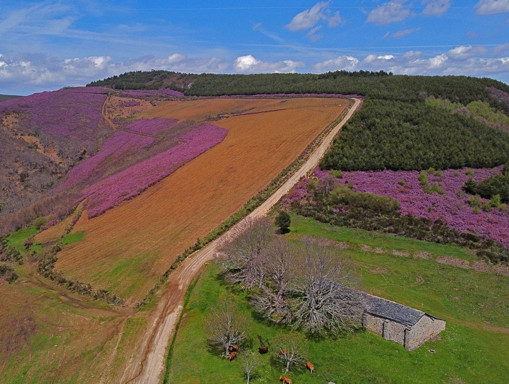 A vista de dron de la Ermita de Fombasallá, montes de Paradaseca, Villafranca del Bierzo, El Bierzo, León, Castilla y León, España.