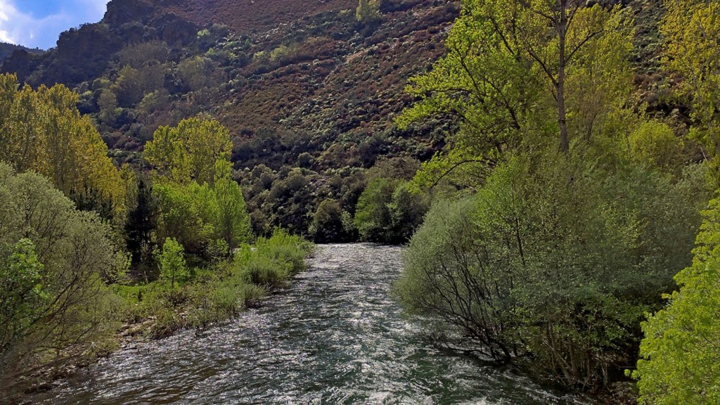 Puente de San Pedro de Olleros, cercanías de Los Puliñeiro, Villabuena, Cacabelos, El Bierzo, León, Castilla y León, España.