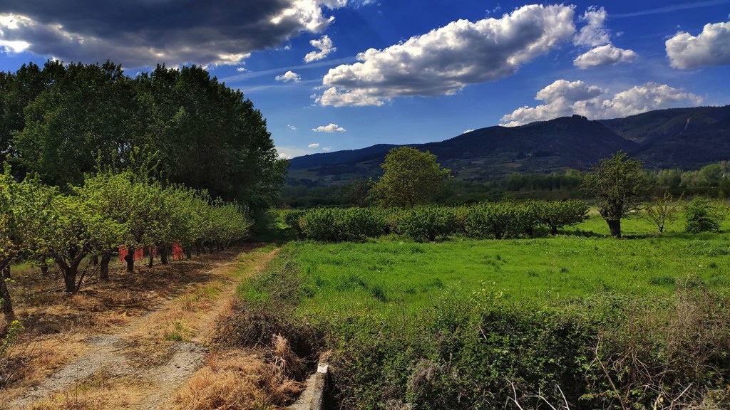 Paraje de La Edrada, Cacabelos, El Bierzo, León, Castilla y León, España.