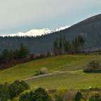 SERIE : BAJO OTRA MIRADA (II) – Primavera (7)