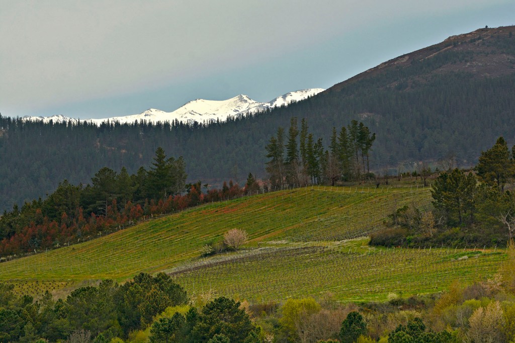 Desde las inmediaciones de Magaz de Arriba, Arganza, El Bierzo, León, Castilla y León, España.
