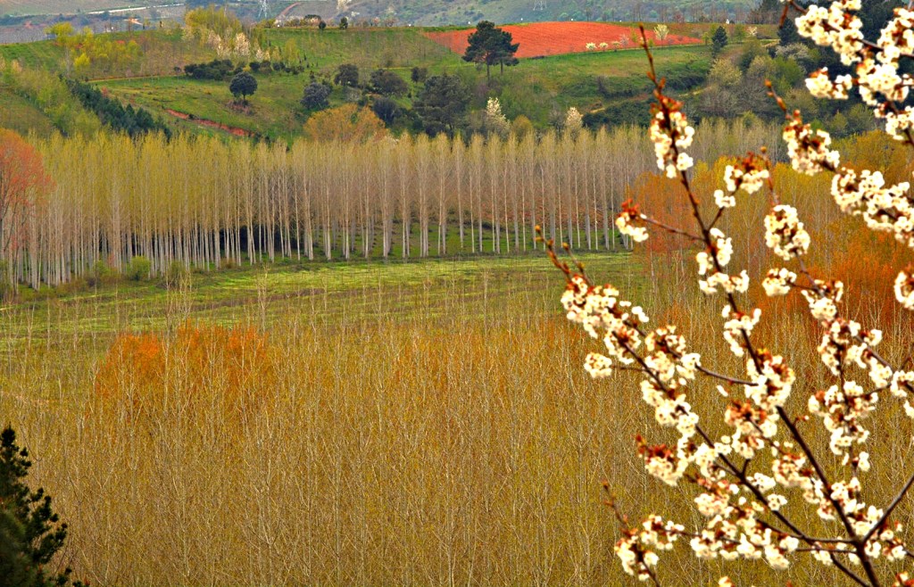 Vista desde el aula didáctica de José Luis PRADA en las inmediaciones de Arganza y Quilós, El Bierzo, León, Castilla y León, España.