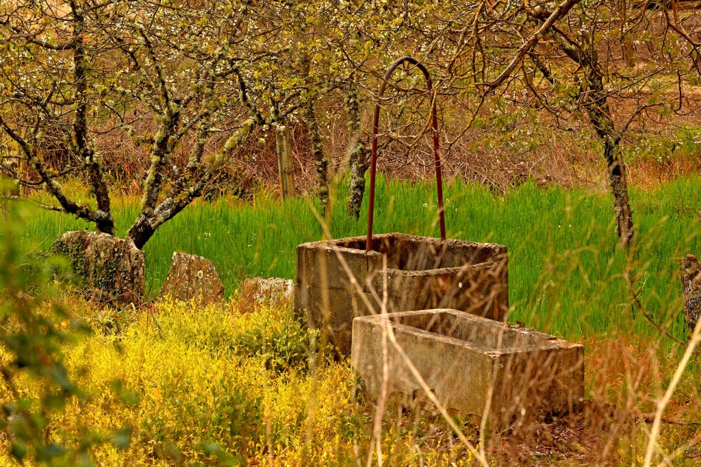 Arganza, EL Bierzo, León, Castilla y León, España.