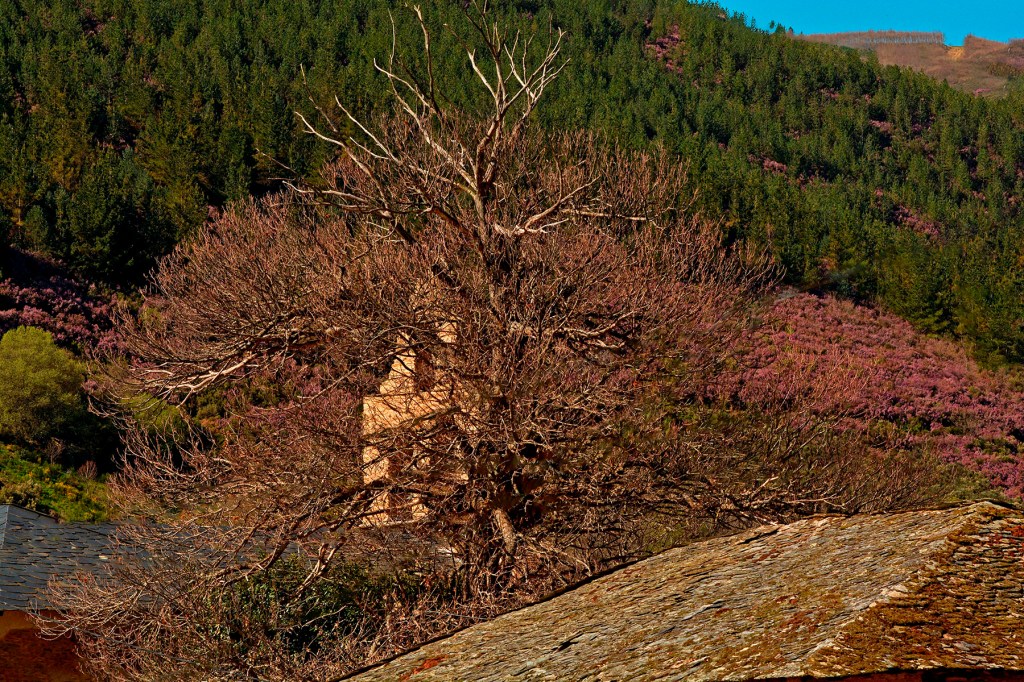 Dragonte, Corullón, El Bierzo, León, Castilla y León, España.