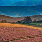 SERIE : BAJO OTRA MIRADA (II) – Primavera (6)