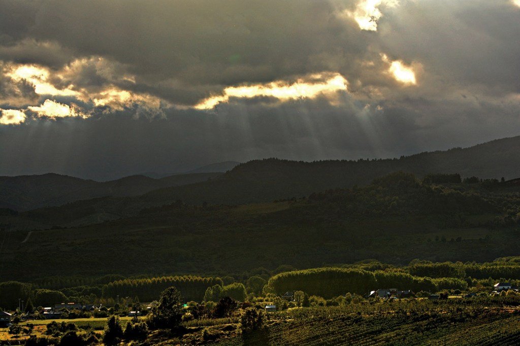 Inmediaciones de Cacabelos, valle del Cúa con los álamos flanqueando su cauce, El Bierzo, León, Castilla y León.