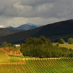 SERIE : BAJO OTRA MIRADA (II) – Primavera (8)