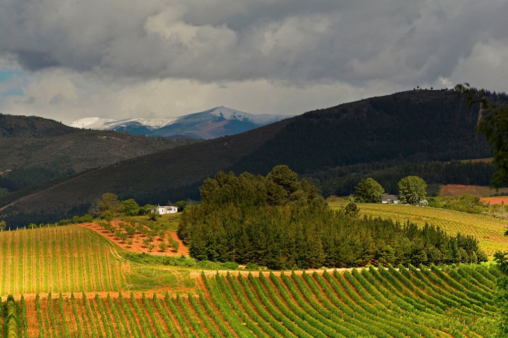 Entorno entre los términos de Quilós, Arganza y Cacabelos con la sierra de Ancares al fondo, El Bierzo, León, Castilla y León, España.