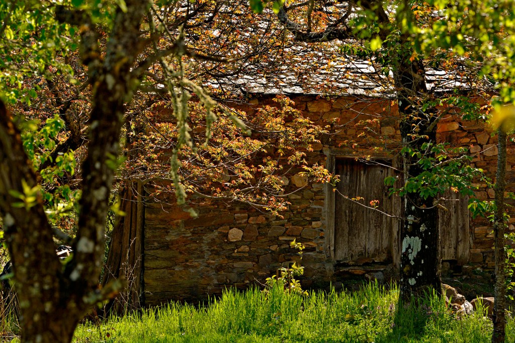 Paradaseca, Villafranca del Bierzo, El Bierzo, León, Castilla y León, España.

