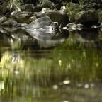 SERIE : BAJO OTRA MIRADA (II) – Verano (1)