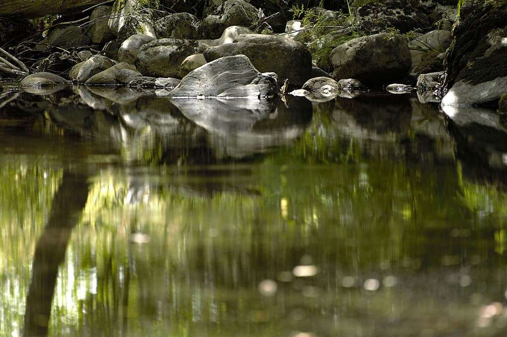 Río Burbia a su paso por las cercanías de Aira Da Pedra, Villafranca del Bierzo, El Bierzo, León, Castilla y León, España.