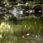 SERIE : BAJO OTRA MIRADA (II) – Verano (1)