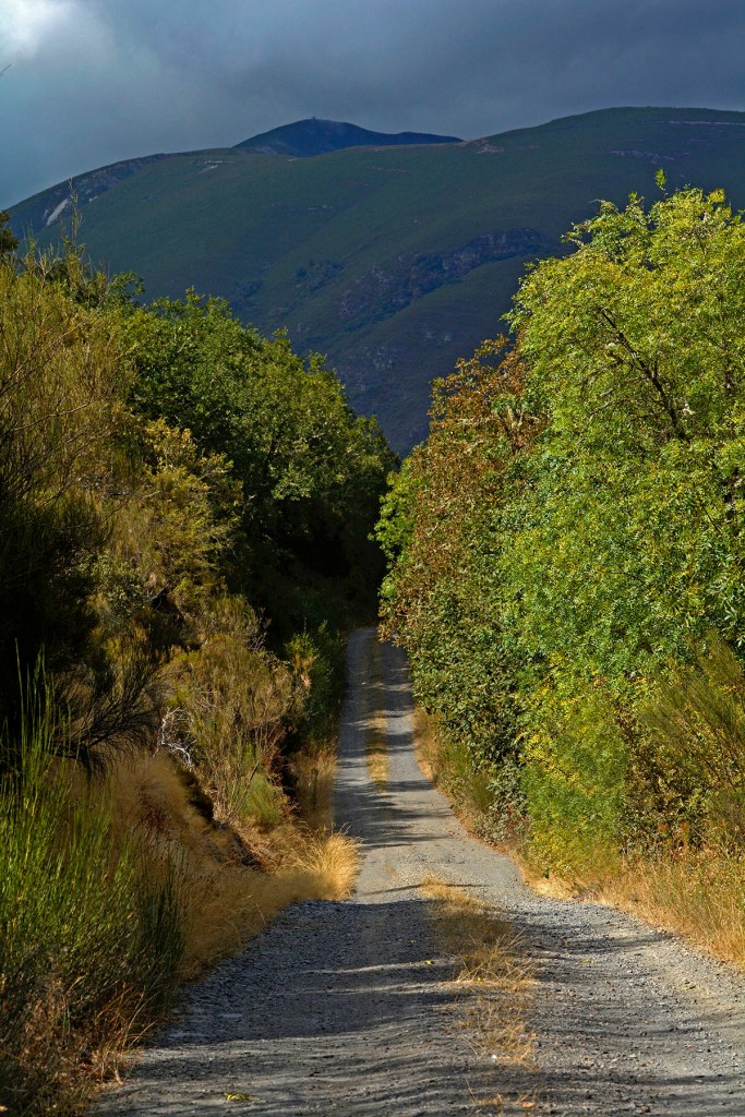Entre Burbia y Aira Da Pedra, El Bierzo, Ancares, León, Castilla y León, España.