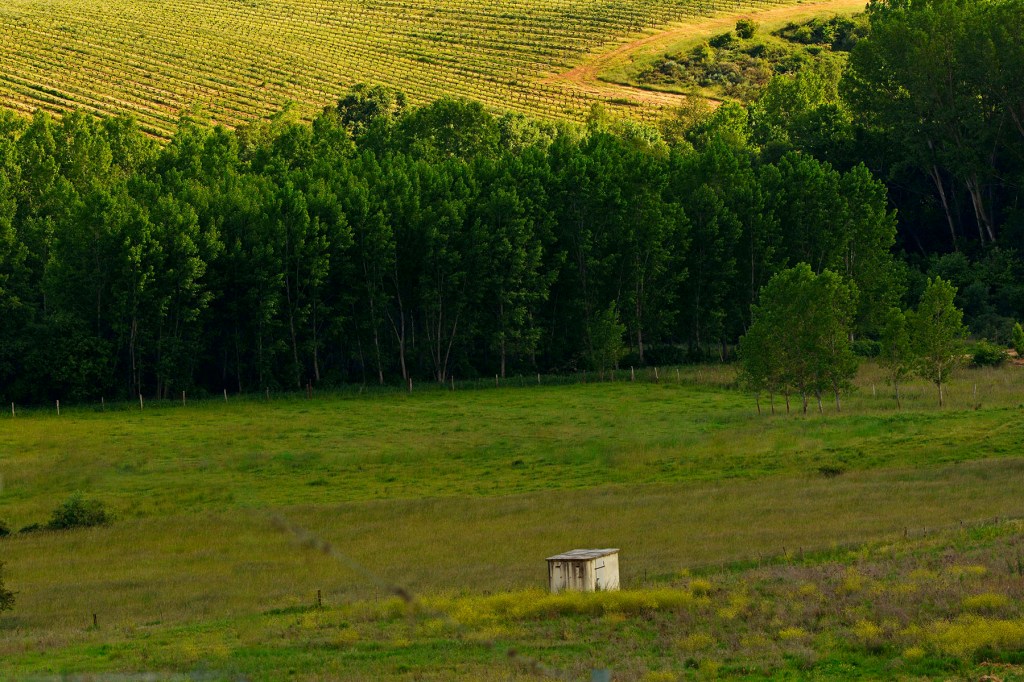 Magaz de Arriba, Arganza, El Bierzo, León, Castilla y León, España.