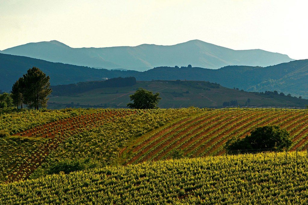 Desde las proximidades de Arganza y Magaz de Arriba una vista más de Castro Ventosa y de los viñedos bercianos, El Bierzo, León, Castilla y León, España.