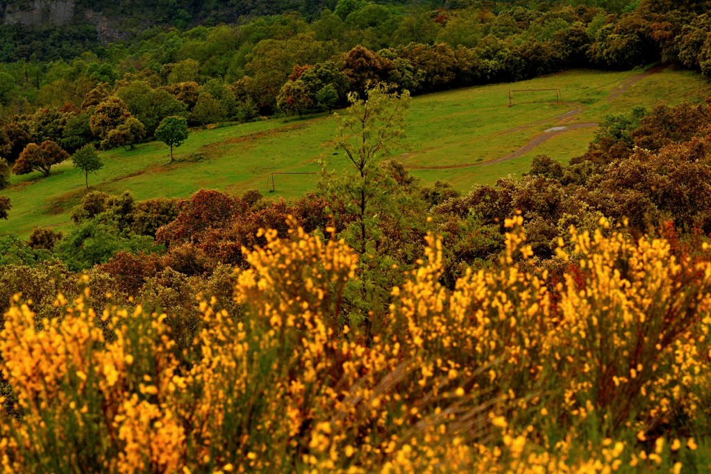 Santa Cruz del Sil, Páramo del Sil, El Bierzo, León, Castilla y León, España.