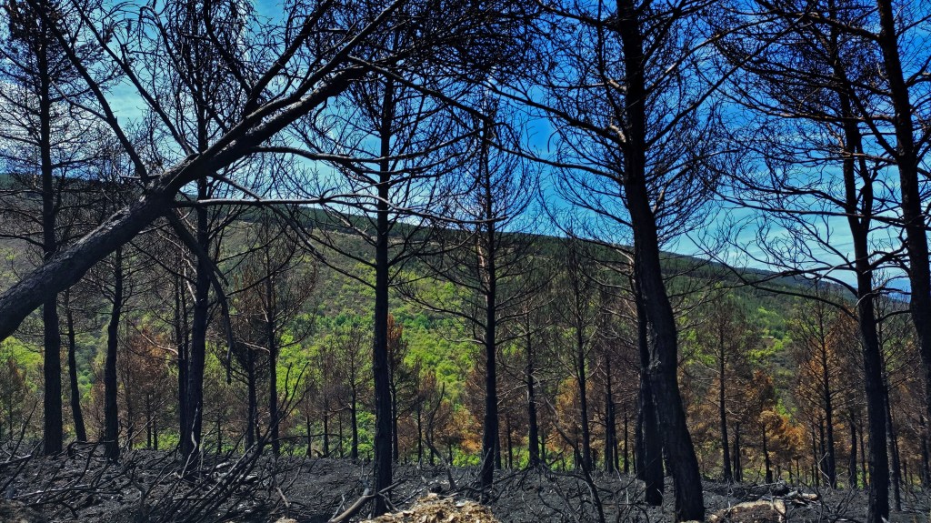 Inmediaciones de Primout, Páramo del Sil, El Bierzo, León, Castilla y León, España.